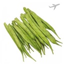 [0100026567] RUBA GWAR INDIA (AIR)