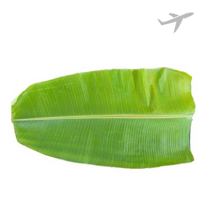 RUBA BANANA LEAF INDIA (AIR)