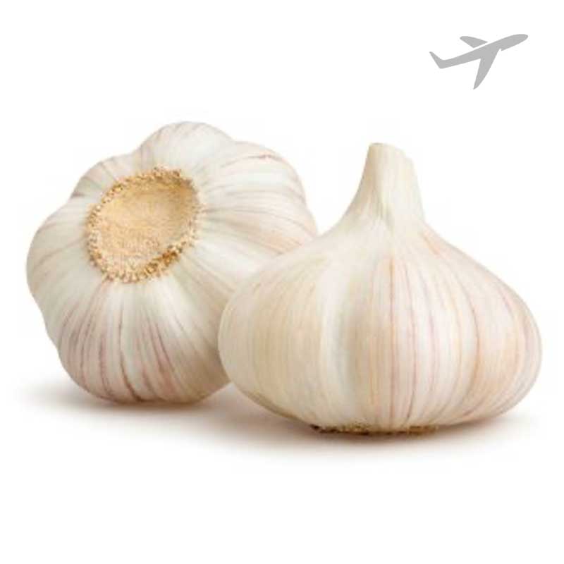 RUBA GARLIC INDIA / KG