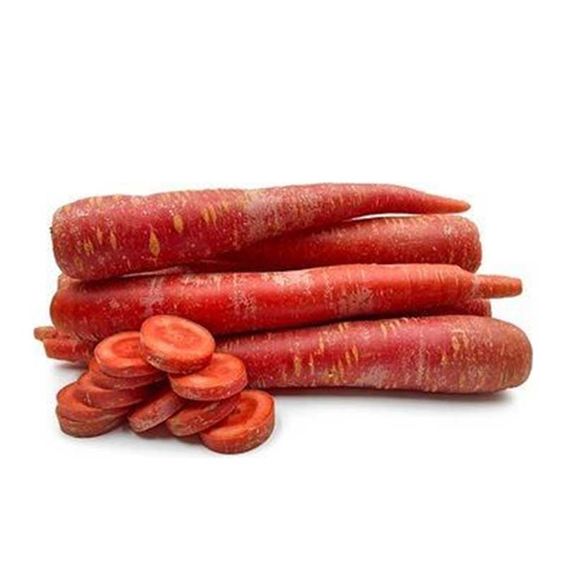 RUBA RED CARROT INDIA
