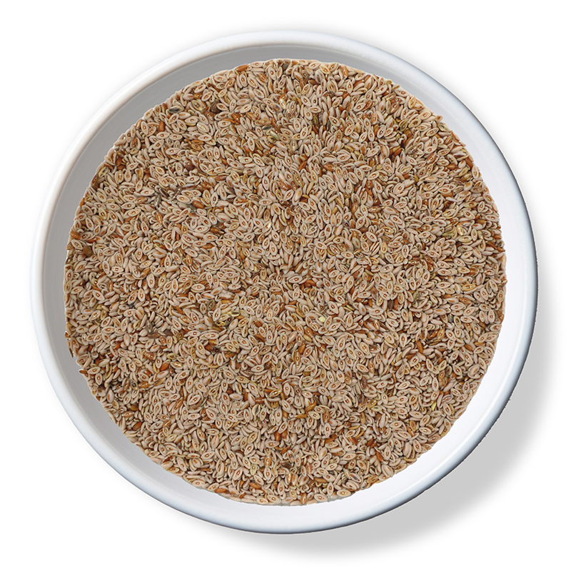 H ISABGOL SEEDS