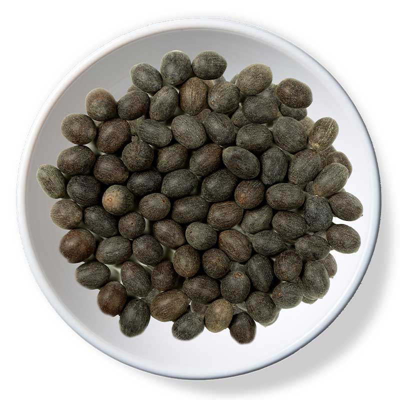 PABDI - KAMAL - GATTA /KG