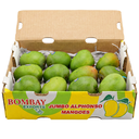 [0100020583] RTC ALPHONSO MANGO DAISY 12PCS