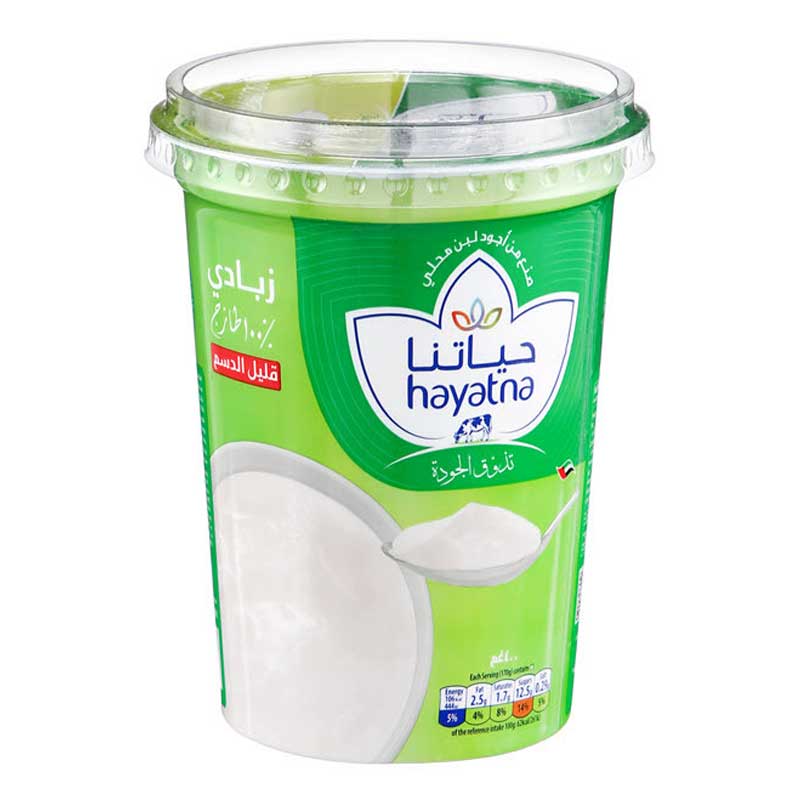 HAYATNA SET YOGHURTS FF 400GM