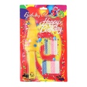 [0100011231] BIRTHDAY CANDLE SET