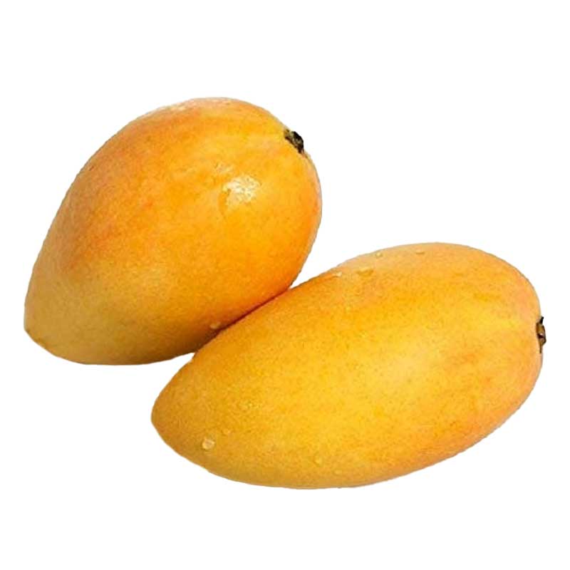 MANGO MALLIKA KGS
