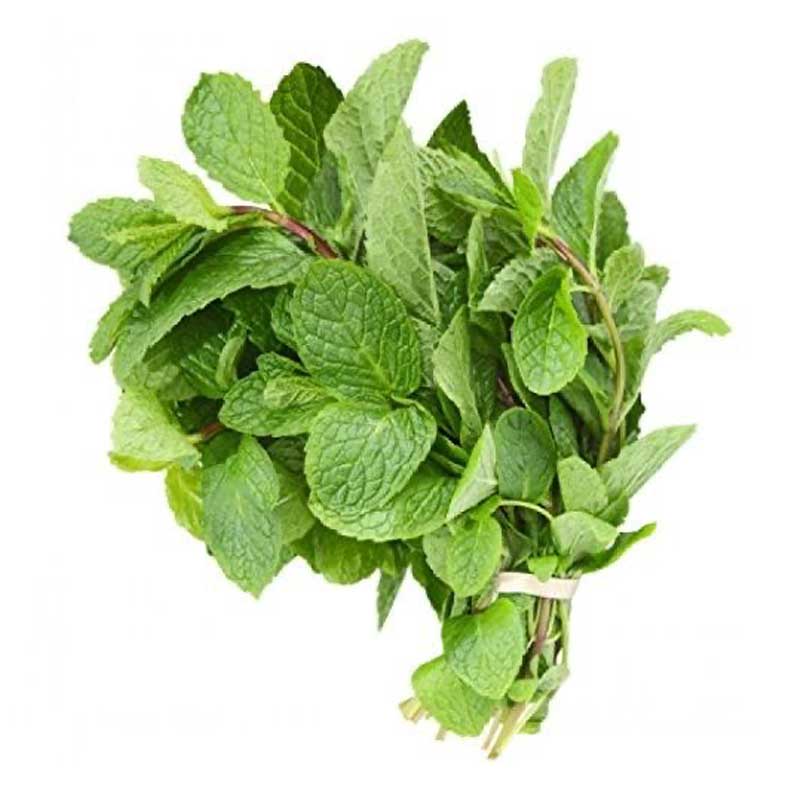 MINT LEAVES 1PC