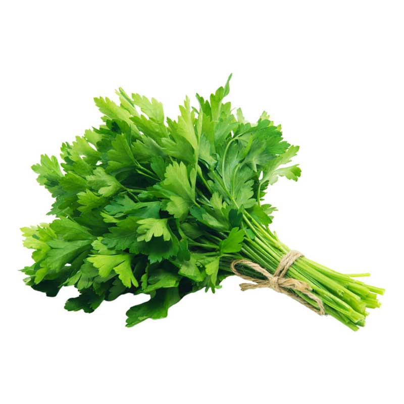 PARSLEY LEAVES 1PC