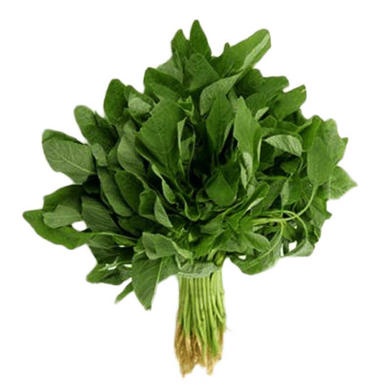 GREEN AMARANTH LEAVES 1PC