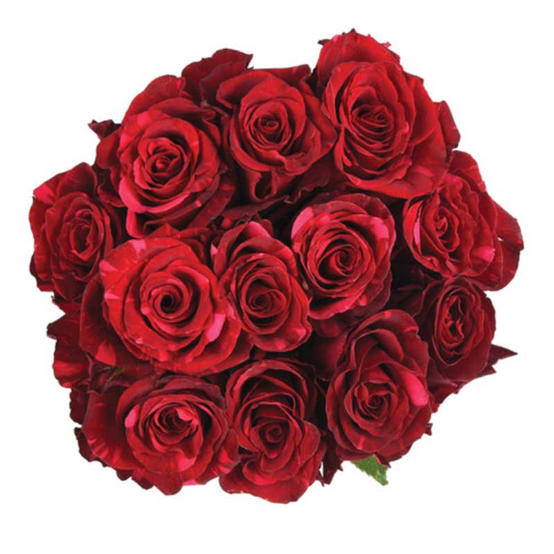 RUBA RED ROSE /Kg
