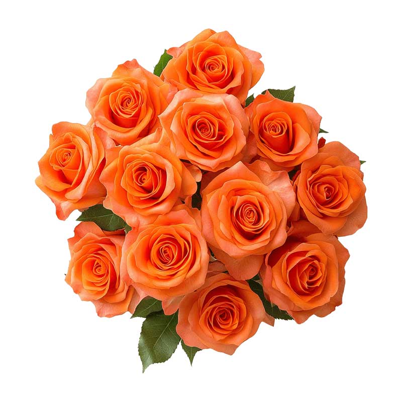 RUBA ORANGE ROSE /Kg