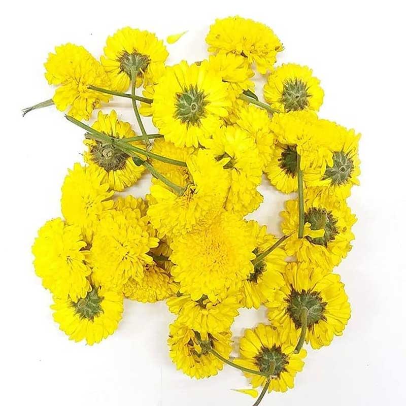 FRESH FLOWER YELLOW SEVANTHI KGS