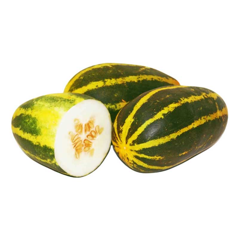 RUBA VELLARI INDIA KGS