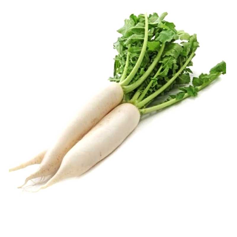 RUBA RADISH INDIA KGS