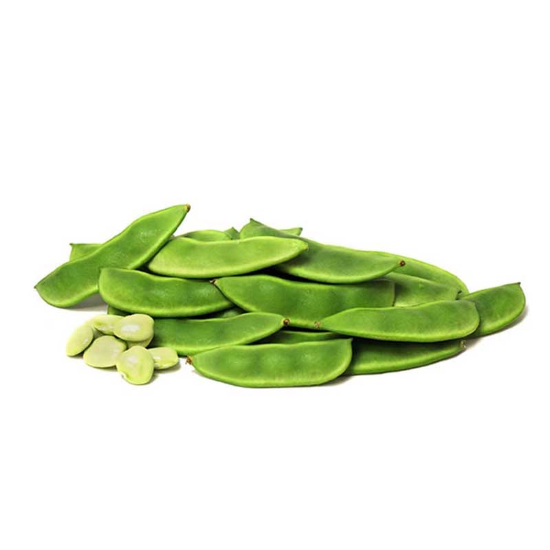 RUBA SURTI PAPDI INDIA KGS