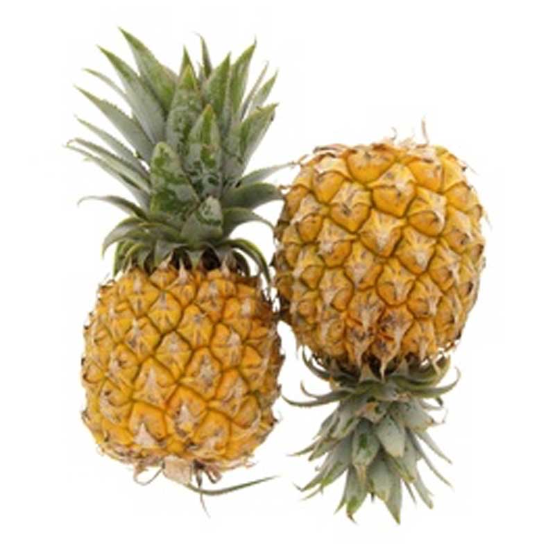 BABY PINEAPPLE /PC