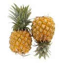 [0100021976] BABY PINEAPPLE /PC