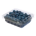 [0100021983] BLUEBERRY /PKT