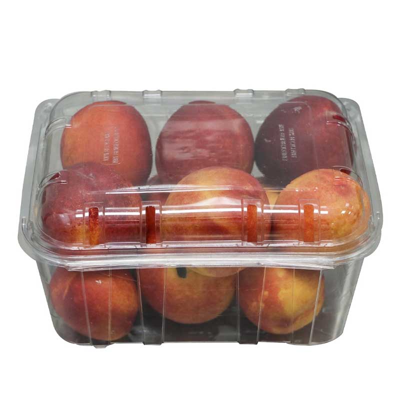 NECTARINE PKT