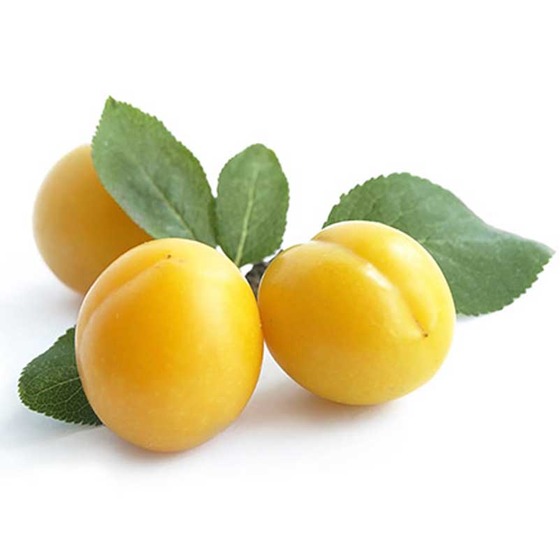 PLUMS YELLOW /Kg