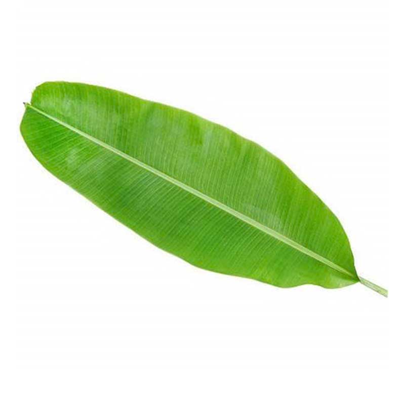 BANANA LEAVES
