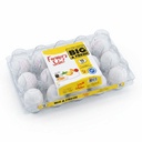 [0100006826] FARMERS SELECT LARGE EGG 15 PCS
