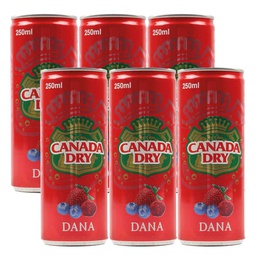 [0100026245] CANADA DRY DANA SODA 250ML