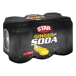 [0100004537] STAR GINGER SODA 300ML