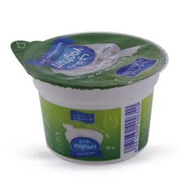 [0100003513] AL RAWABI FULL CREAM YOGHURT 90GM