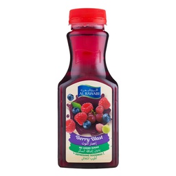 [0100003568] AL RAWABI  BERRY  BLAST JUICE 350 ML