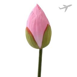 [0100026360] RUBA LOTUS 1PC