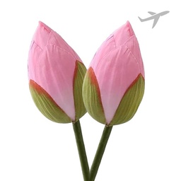 [0100026361] RUBA LOTUS 2PC