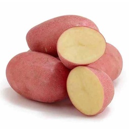 [0100021796] BABY POTATO RED