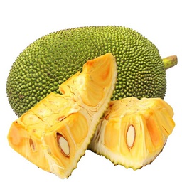 [0100021863] JACKFRUIT INDIA KG