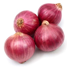 [0100021879] ONION INDIA