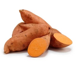 [0100021898] SWEET POTATO EGYPT
