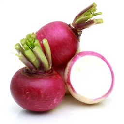 [0100021902] TURNIP (SHELGUM)