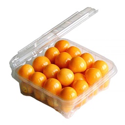 [0100024890] GOLDEN BERRY PKT