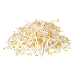 [0100021809] BEANS SPROUT