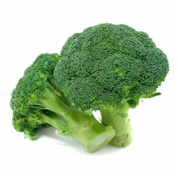 [0100021814] BROCCOLI KG