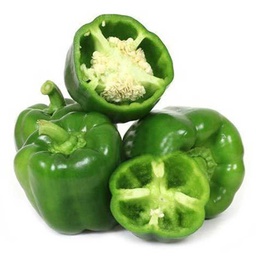 [0100021819] CAPSICUM GREEN