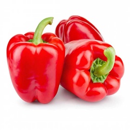 [0100021821] CAPSICUM RED