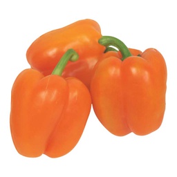 [0100021839] CAPSICUM ORANGE