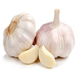 [0100021850] GARLIC CHINA