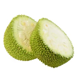 [0100021862] IDDI CHAKKA (RAW JACKFRUIT)