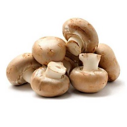 [0100021922] MUSHROOM BROWN