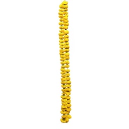 [0100019081] RUBA FRESH TORAN 1 MTR