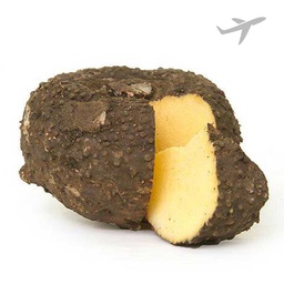 [0100026699] RUBA SURAN INDIA KGS