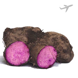 [0100026701] RUBA PURPLE YAM KGS