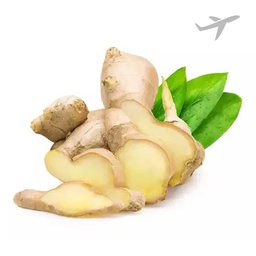 [0100026846] RUBA MANGO GINGER / KG